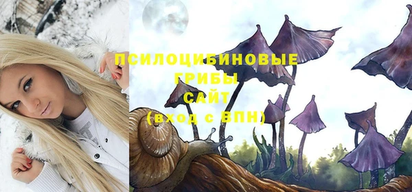 соль курить ск Липки