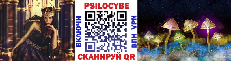 хочу   Камешково  kraken ТОР  Галлюциногенные грибы Psilocybine cubensis 